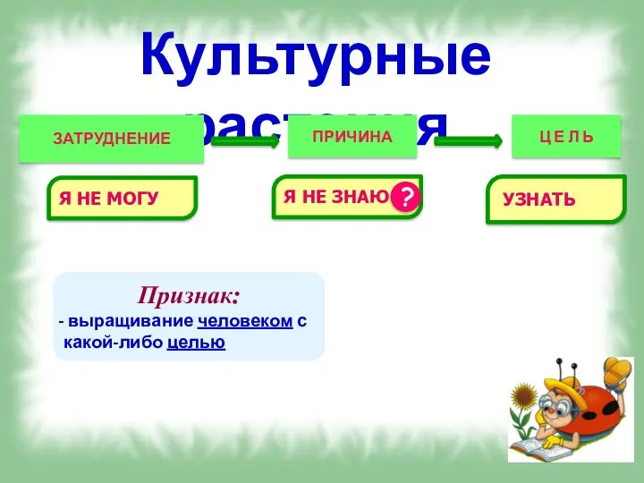 Культурные растения Я НЕ ЗНАЮ УЗНАТЬ ПРИЧИНА ? Ц Е