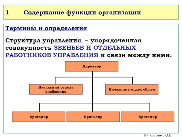 1 Содержание функции организации Термины и определения Структура управления –