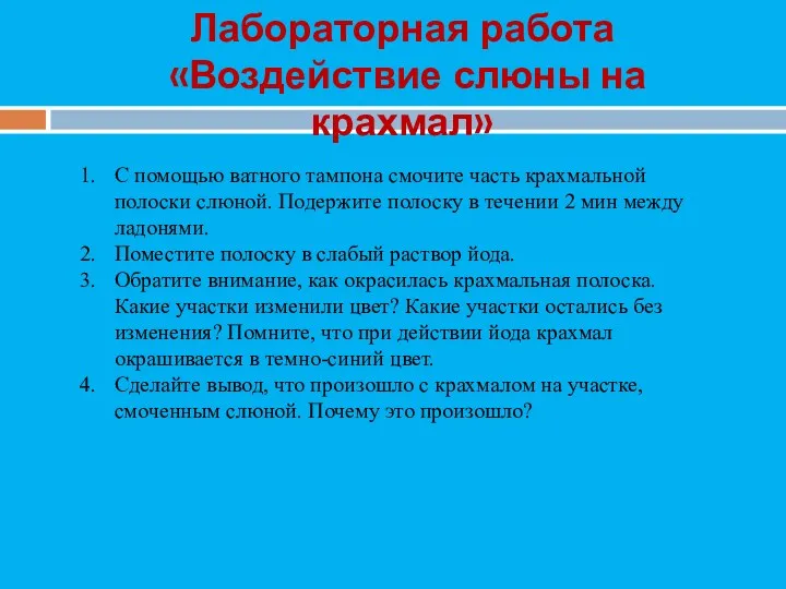 Лабораторная работа «Воздействие слюны на крахмал» С помощью ватного тампона