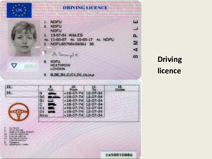 Driving licence