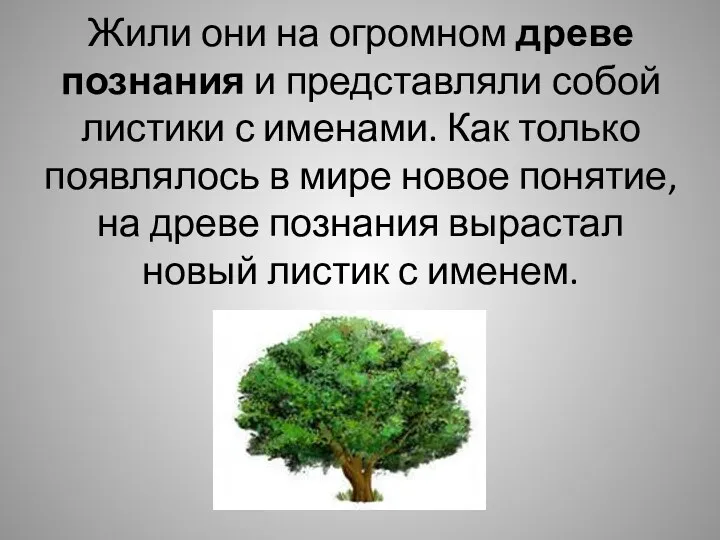 Жили они на огромном древе познания и представляли собой листики