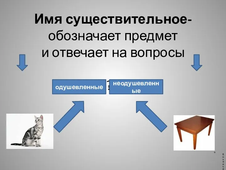 Имя существительное- обозначает предмет и отвечает на вопросы КТО? ЧТО?