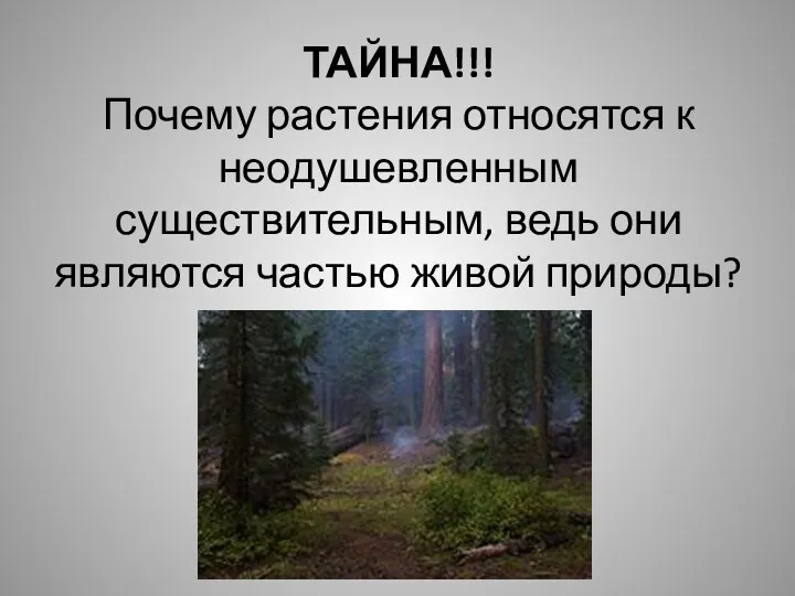 ТАЙНА!!! Почему растения относятся к неодушевленным существительным, ведь они являются частью живой природы?