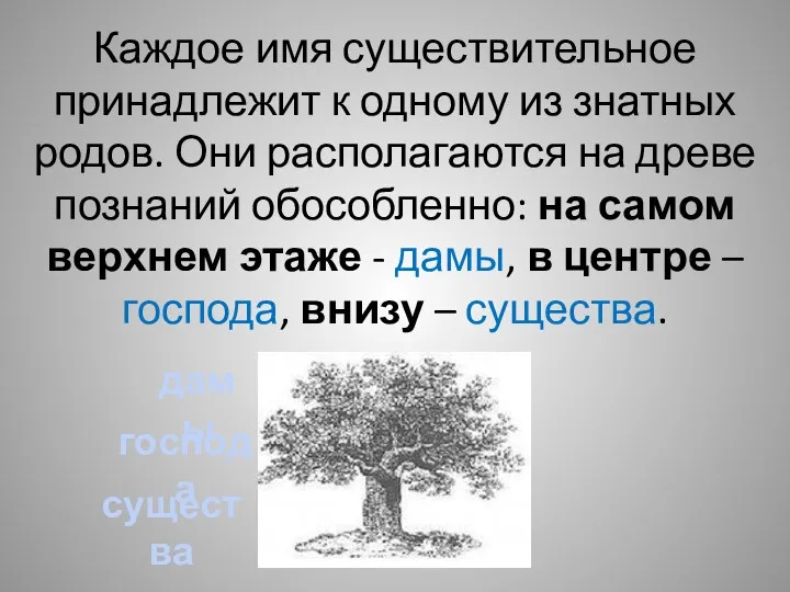 Каждое имя существительное принадлежит к одному из знатных родов. Они