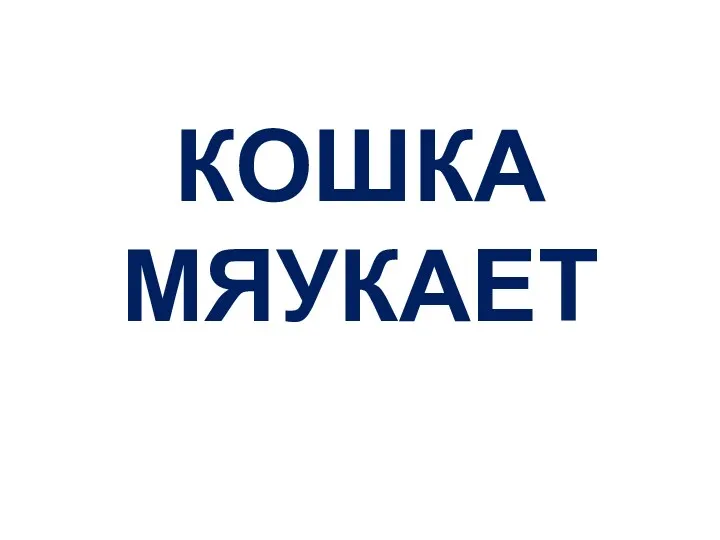 КОШКА МЯУКАЕТ