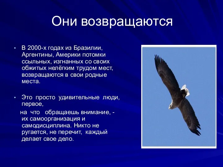 Они возвращаются В 2000-х годах из Бразилии, Аргентины, Америки потомки