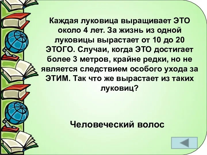 Каждая луковица выращивает ЭТО около 4 лет. За жизнь из