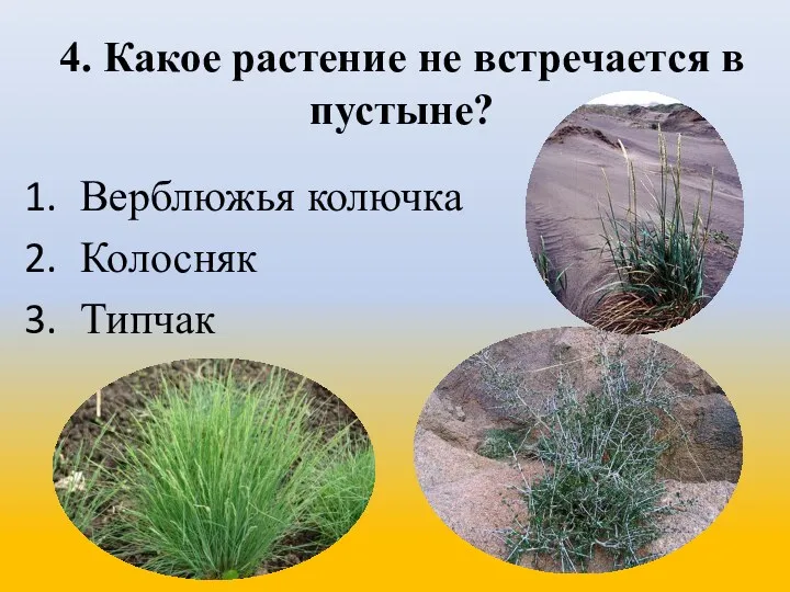 4. Какое растение не встречается в пустыне? Верблюжья колючка Колосняк Типчак