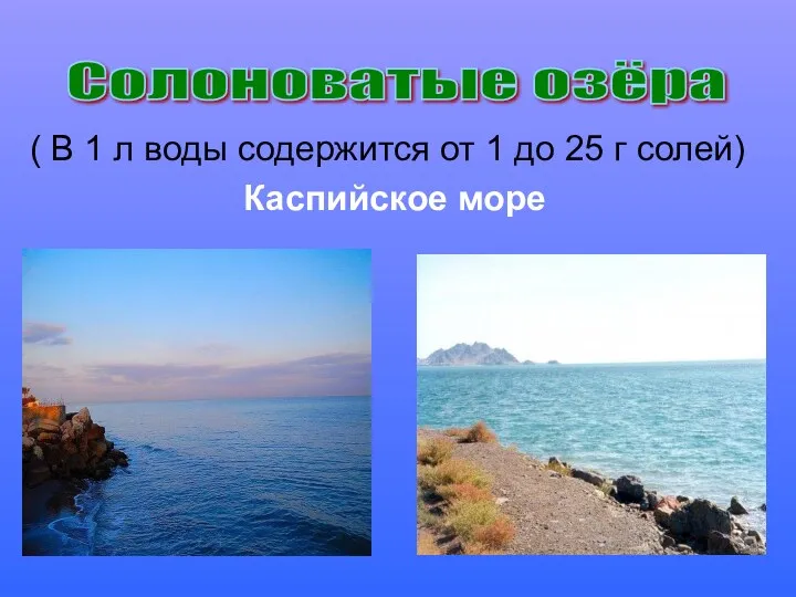 ( В 1 л воды содержится от 1 до 25 г солей) Каспийское море Солоноватые озёра
