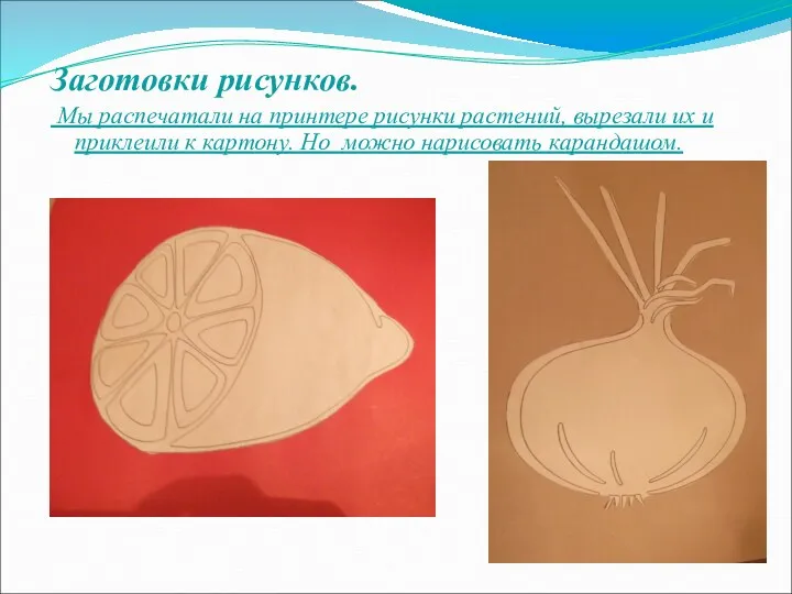 Заготовки рисунков. Мы распечатали на принтере рисунки растений, вырезали их