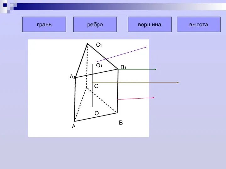 А В С А1 В1 С1 О О1 грань ребро вершина высота