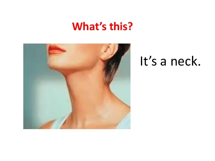 What’s this? It’s a neck.