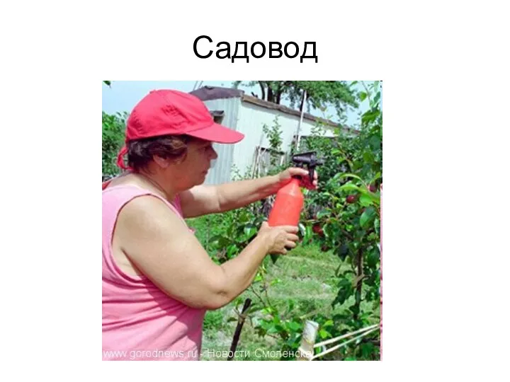 Садовод