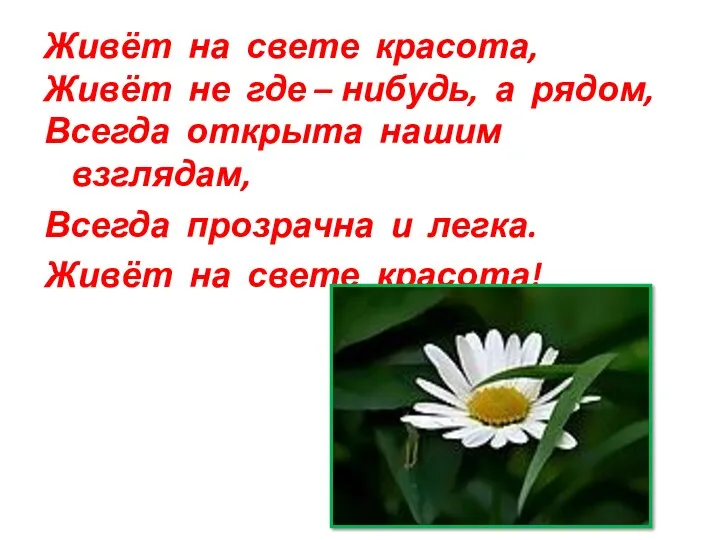 Живёт на свете красота, Живёт не где – нибудь, а