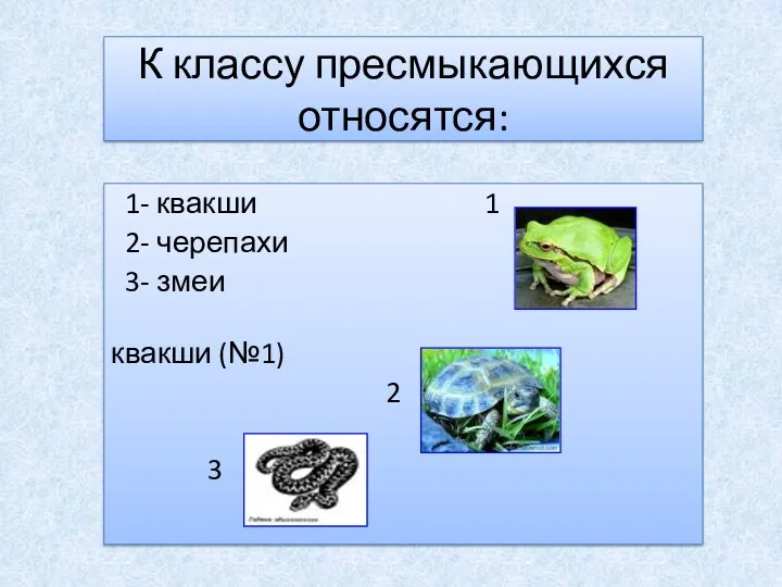 К классу пресмыкающихся относятся: 1- квакши 1 2- черепахи 3- змеи квакши (№1) 2 3