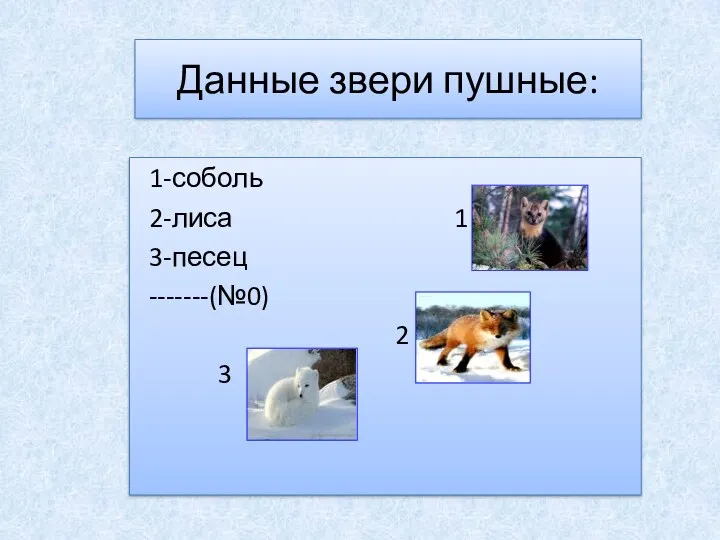 Данные звери пушные: 1-соболь 2-лиса 1 3-песец -------(№0) 2 3