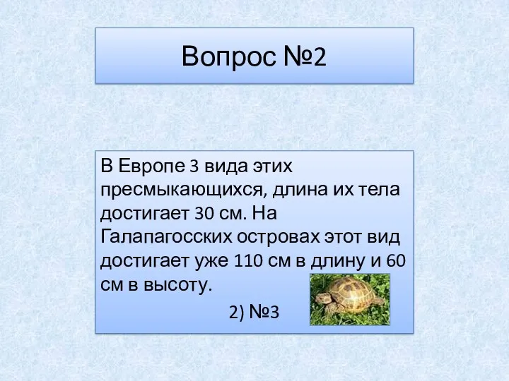 Вопрос №2 В Европе 3 вида этих пресмыкающихся, длина их