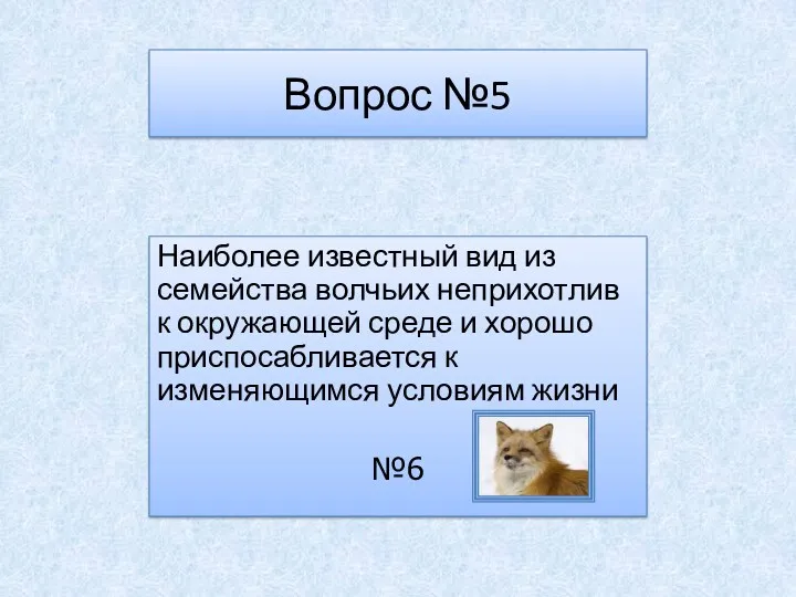 Вопрос №5 Наиболее известный вид из семейства волчьих неприхотлив к