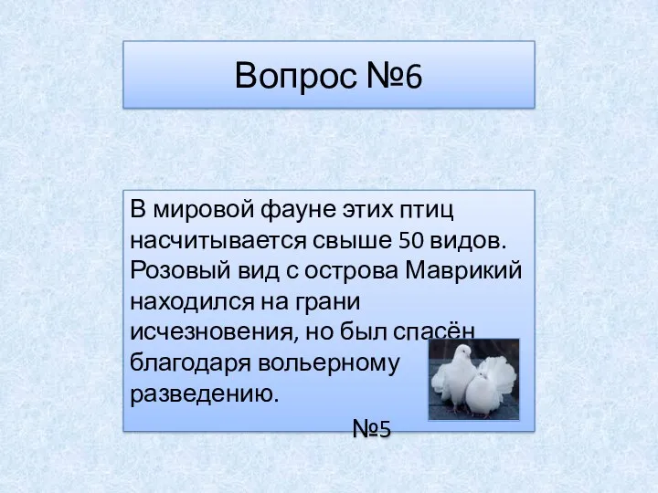 Вопрос №6 В мировой фауне этих птиц насчитывается свыше 50