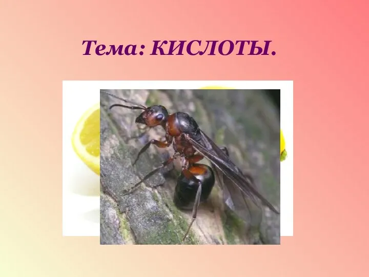 Тема: КИСЛОТЫ.