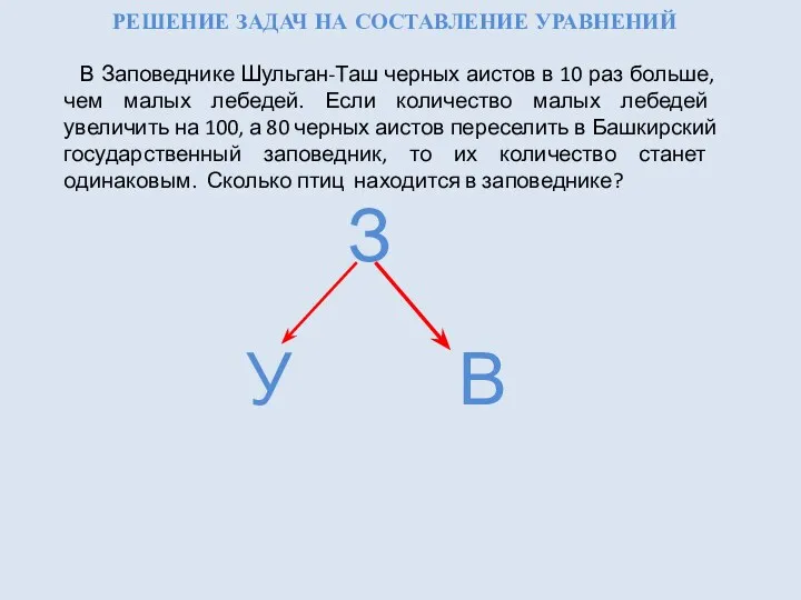 РЕШЕНИЕ ЗАДАЧ НА СОСТАВЛЕНИЕ УРАВНЕНИЙ В Заповеднике Шульган-Таш черных аистов