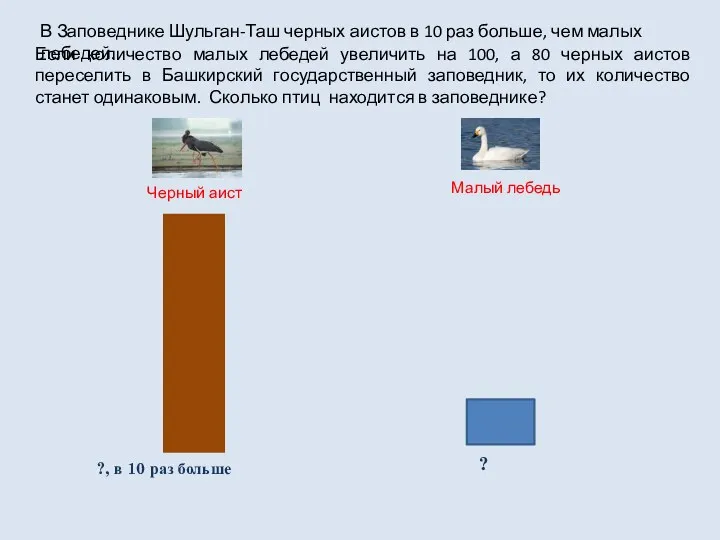 ? ?, в 10 раз больше Черный аист Малый лебедь