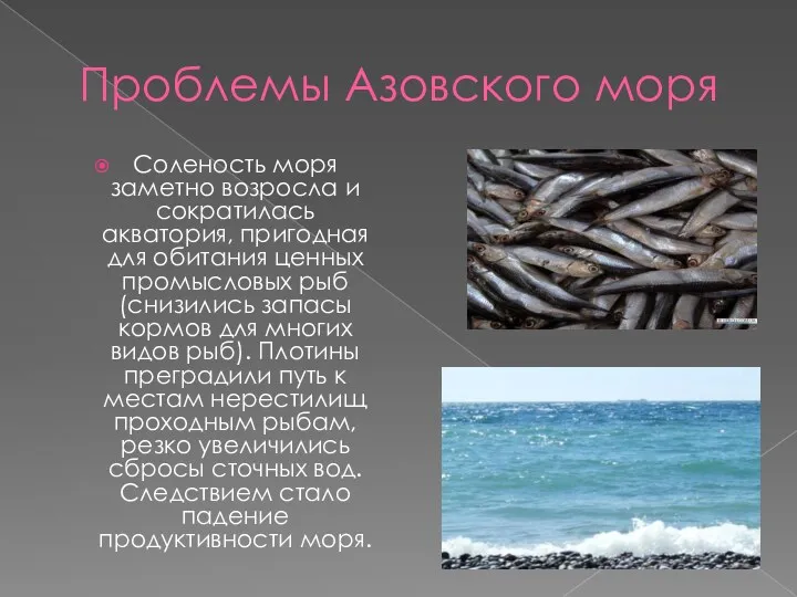 Проблемы Азовского моря Соленость моря заметно возросла и сократилась акватория,