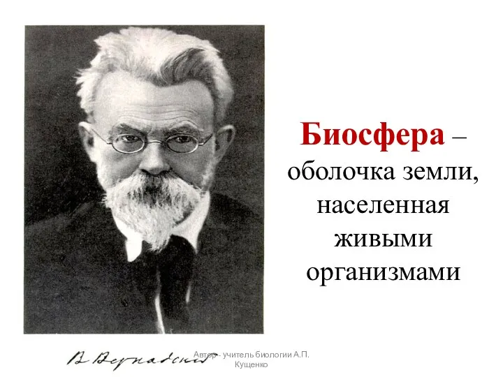 Биосфера – оболочка земли, населенная живыми организмами Автор - учитель биологии А.П. Кущенко