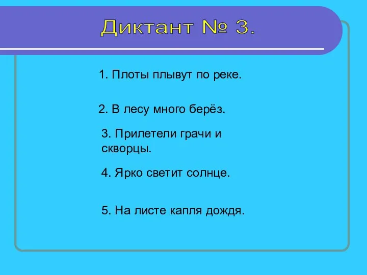 Диктант № 3. 1. Плоты плывут по реке. 2. В