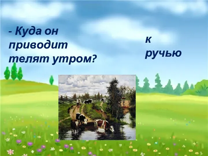 - Куда он приводит телят утром? к ручью