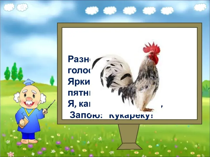 Разноцветный, голосистый, Яркий, красочный, пятнистый. Я, как встану поутру, Запою: "Кукареку!"