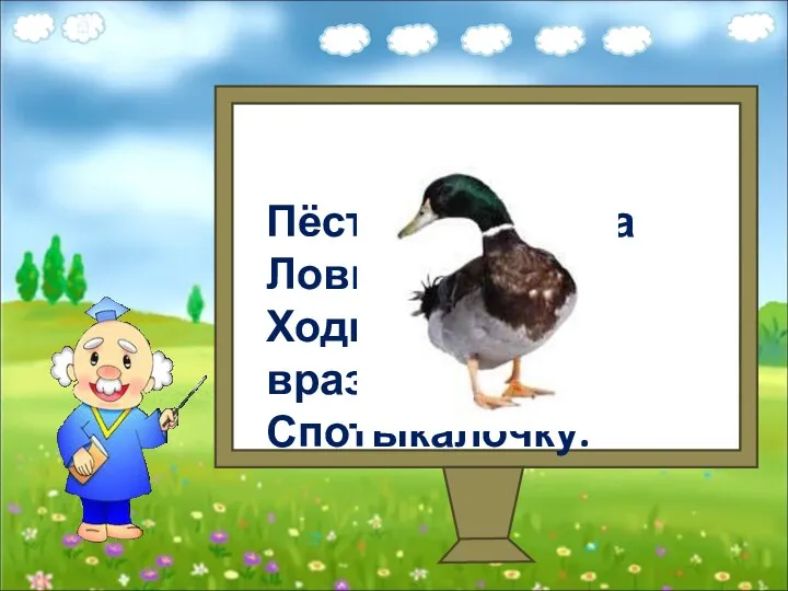 Пёстрая крякуша Ловит лягушек, Ходит вразвалочку, Спотыкалочку.