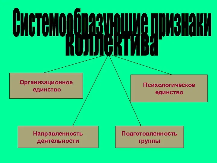 Системообразующие признаки коллектива Организационное единство Психологическое единство Направленность деятельности Подготовленность группы