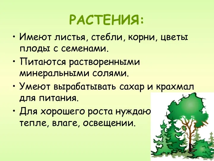 РАСТЕНИЯ: Имеют листья, стебли, корни, цветы плоды с семенами. Питаются