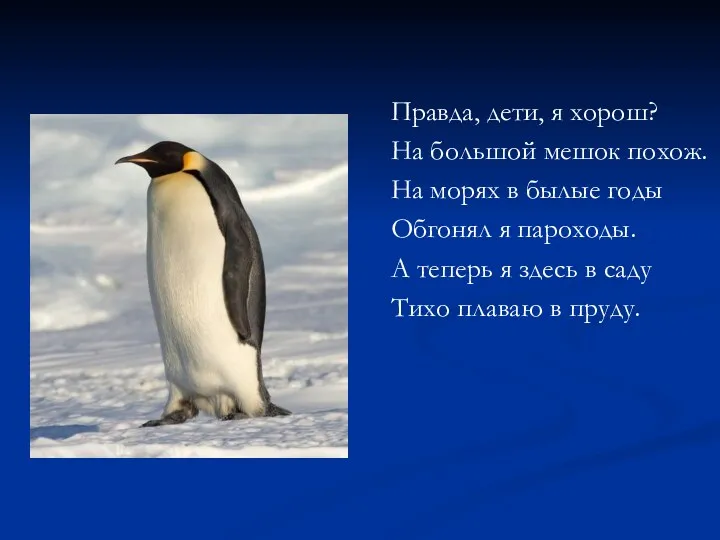 Правда, дети, я хорош? На большой мешок похож. На морях