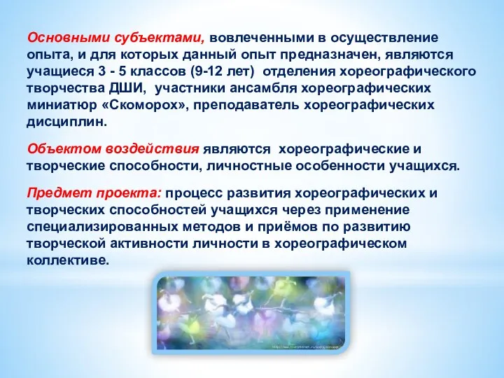 Основными субъектами, вовлеченными в осуществление опыта, и для которых данный опыт предназначен, являются