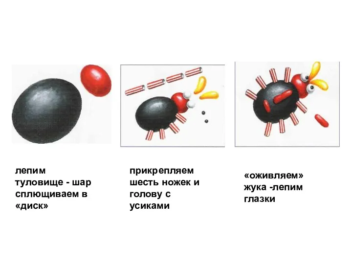 лепим туловище - шар сплющиваем в «диск» прикрепляем шесть ножек