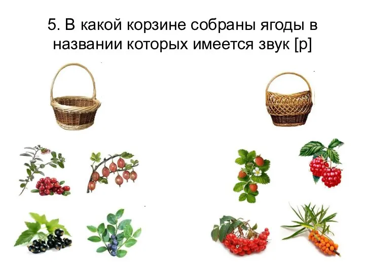 5. В какой корзине собраны ягоды в названии которых имеется звук [р]