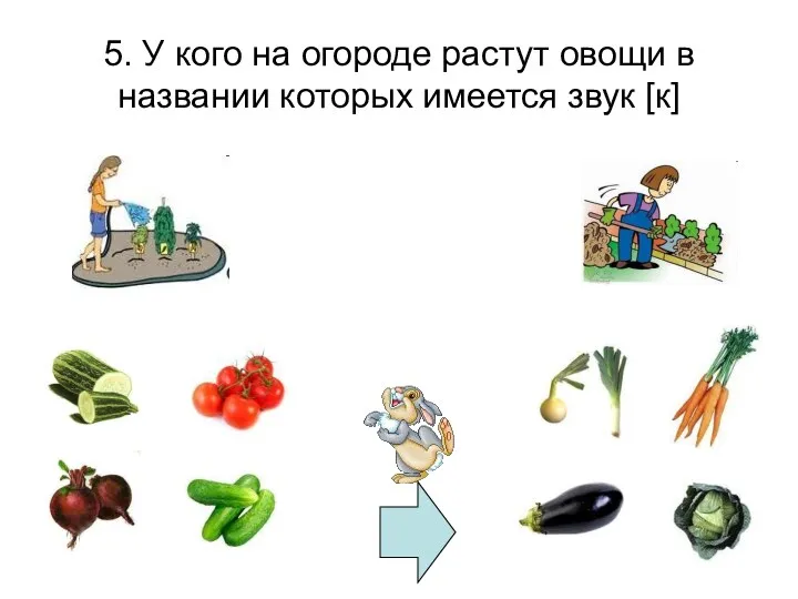 5. У кого на огороде растут овощи в названии которых имеется звук [к]