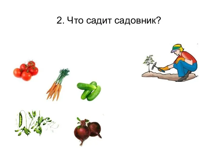 2. Что садит садовник?