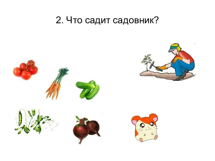 2. Что садит садовник?