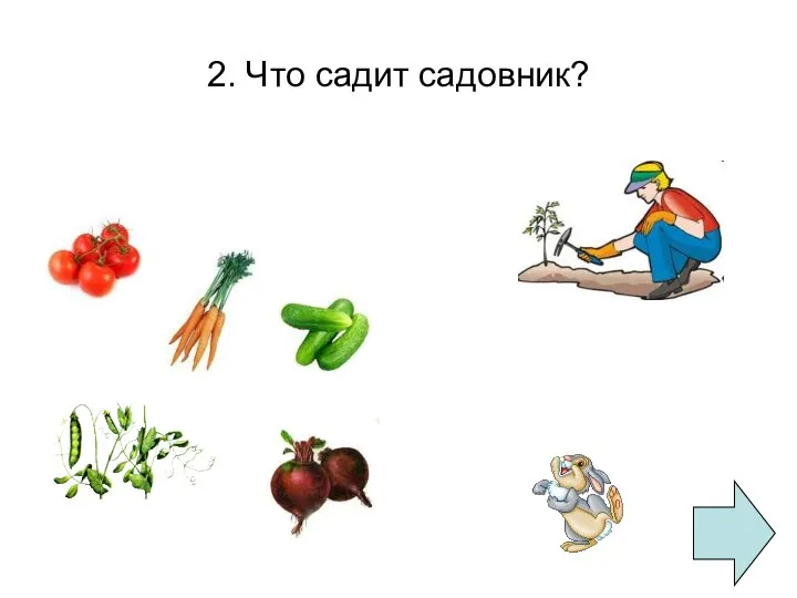 2. Что садит садовник?