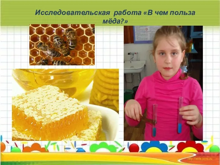 Исследовательская работа «В чем польза мёда?»