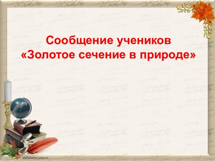 Сообщение учеников «Золотое сечение в природе»