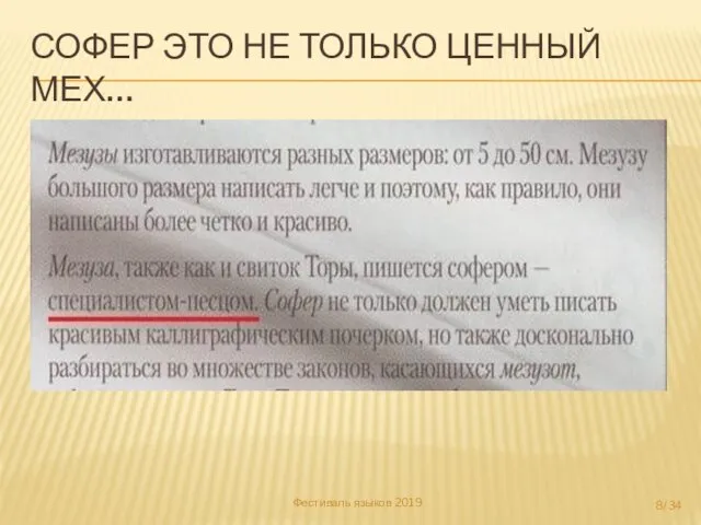 СОФЕР ЭТО НЕ ТОЛЬКО ЦЕННЫЙ МЕХ… Фестиваль языков 2019 /34