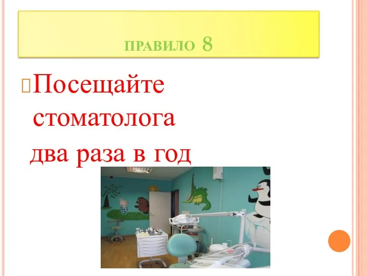 правило 8 Посещайте стоматолога два раза в год