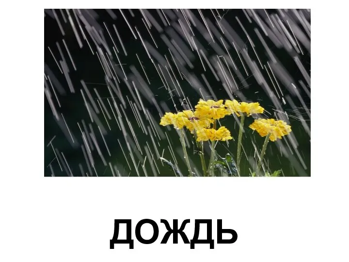 ДОЖДЬ