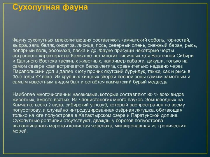 Сухопутная фауна Фауну сухопутных млекопитающих составляют: камчатский соболь, горностай, выдра,