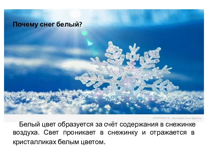 Почему снег белый? Белый цвет образуется за счёт содержания в