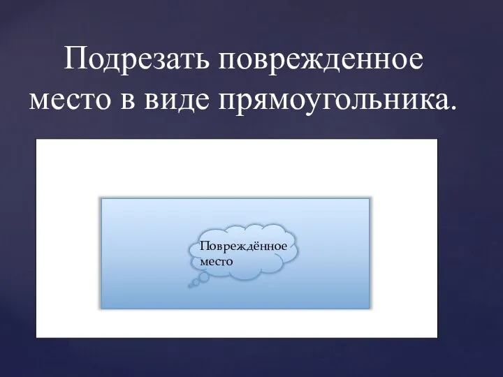 Подрезать поврежденное место в виде прямоугольника. Повреждённое место